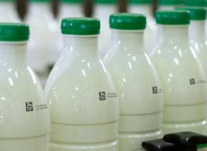 Food Traceability System