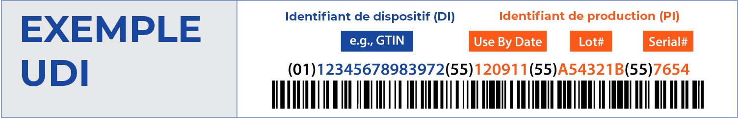 Example-Udi- Fr