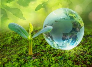 Bitki Koruma Ürünleri İzlenebilirliği