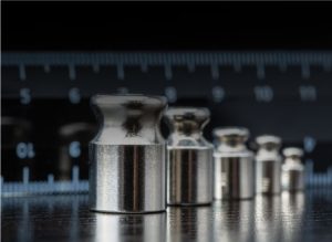 Checkweigher Weights