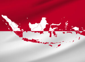 Indonesia'S Pharma Serialization